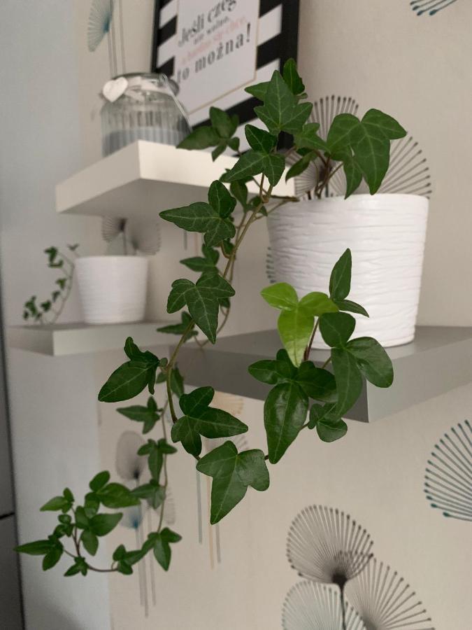 Apartament Polonia Apartment ชเตชชิน ภายนอก รูปภาพ