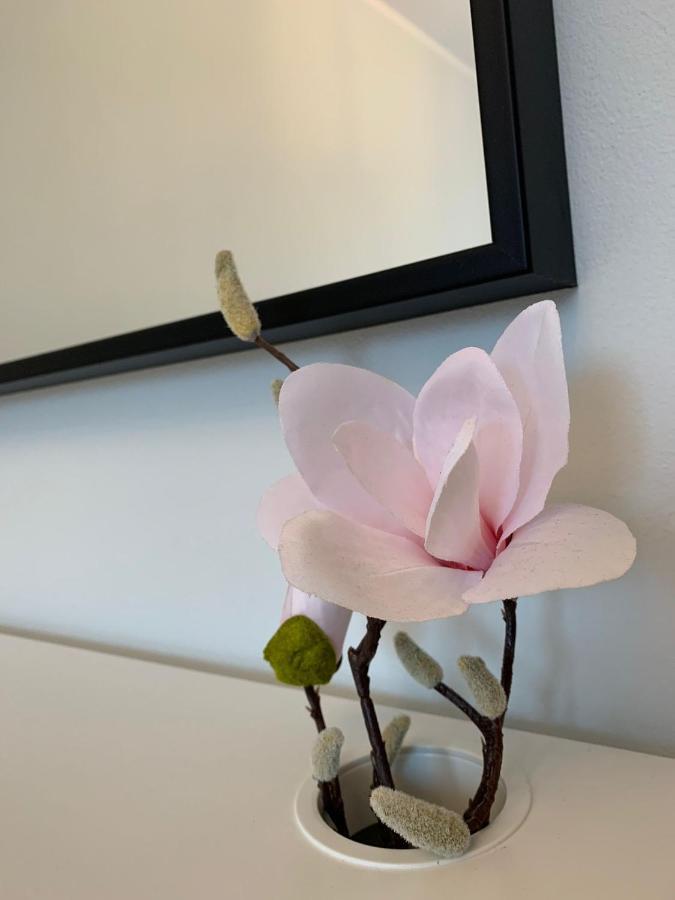 Apartament Polonia Apartment ชเตชชิน ภายนอก รูปภาพ